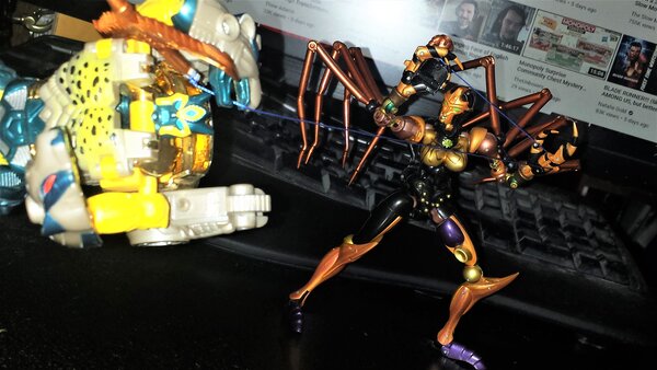 MP BW Blackarachnia (4).jpg