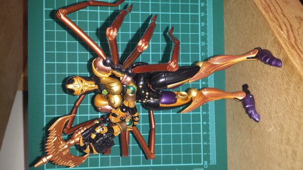 MP BW Blackarachnia pics (1).jpg