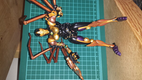 MP BW Blackarachnia pics (3).jpg