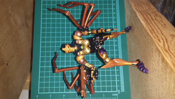 MP BW Blackarachnia pics (4).jpg