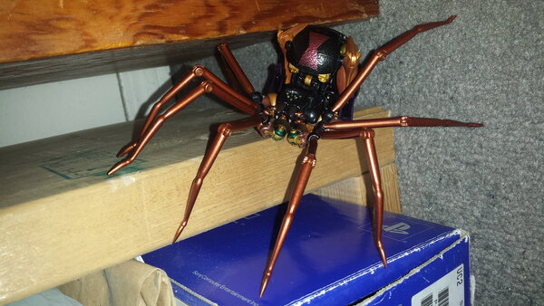 MP BW Blackarachnia pics (8).jpg