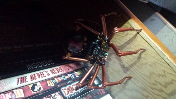MP BW Blackarachnia pics (9).jpg