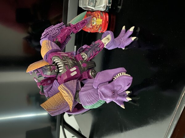 JPEG image 5.jpeg