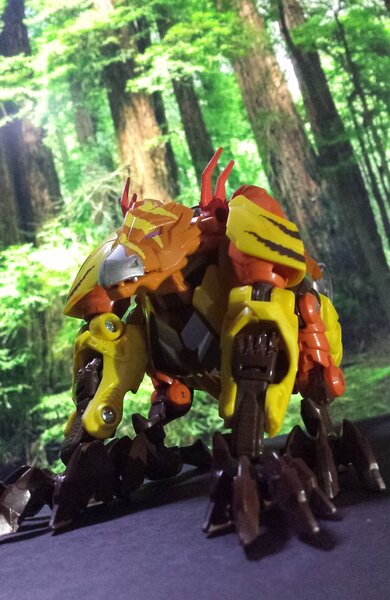 TFP Vertebreak (3).jpg