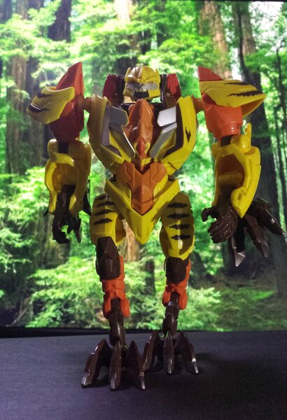 TFP Vertebreak (7).jpg