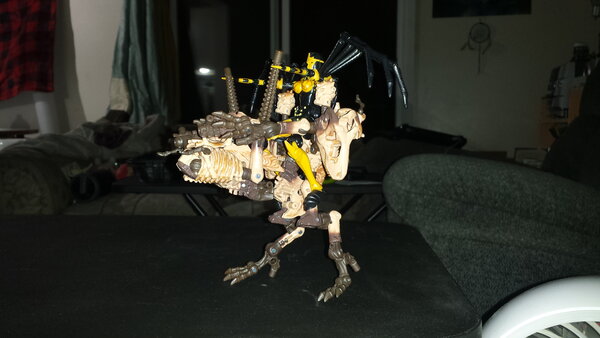 20210602_004759.jpg