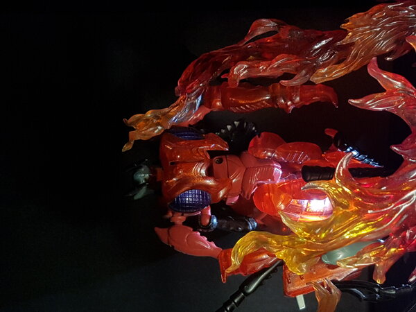 20210606_174906.jpg