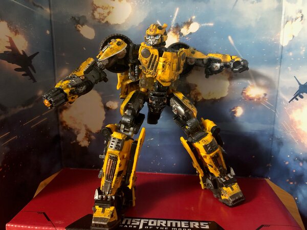 OB bot front pose.jpg