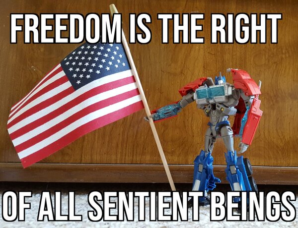 Freedom is the right of all sentient beings 7-4.jpg