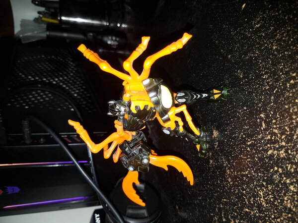 20210721_185147.jpg