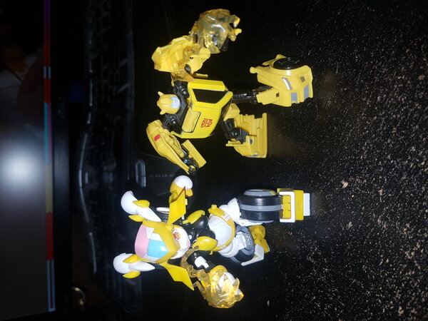 Thunder Light Bumblebee (3).jpg