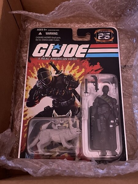 GIJoeSET1.jpg