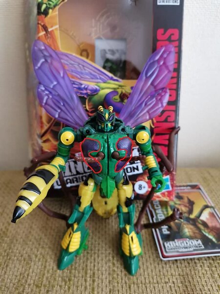 Kingdom-Waspinator-04.jpg