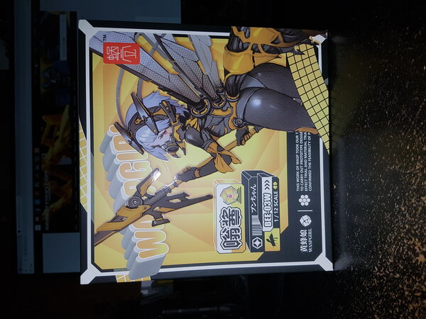 snail shell - bee-03w wasp girl box.jpg