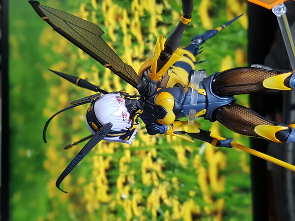 snail shell - bee-03w wasp girl 1.jpg