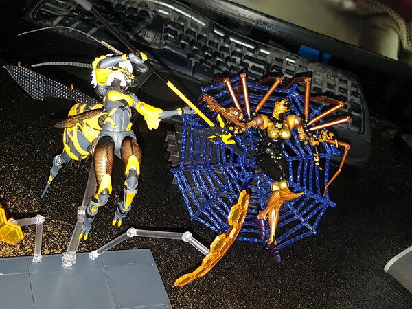 Spider and Wasp (1).jpg