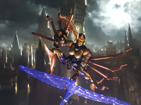 Blackarachnia.jpg