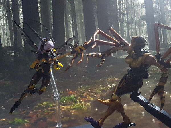 wasp vs spider (1).jpg