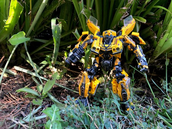 76 Bee Outdoors.jpg