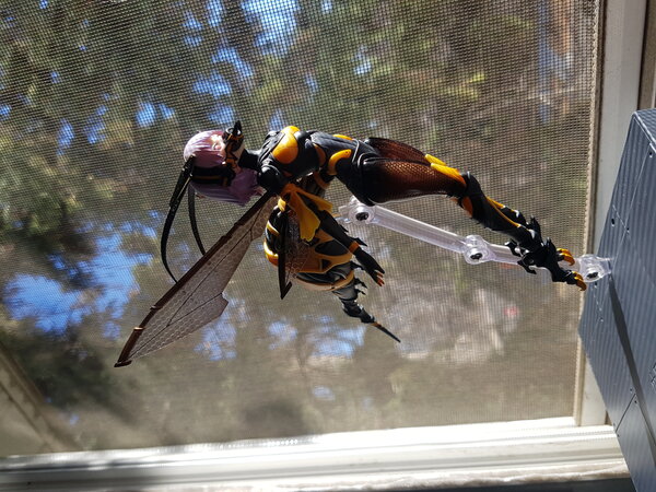 BEE-03W Wasp Girl (1).jpg