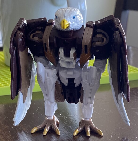 Eagle.jpg