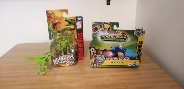 IMG_20211118_173250.jpg