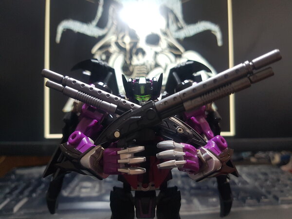 Function X-4 Sigma L Mindwipe (10).jpg