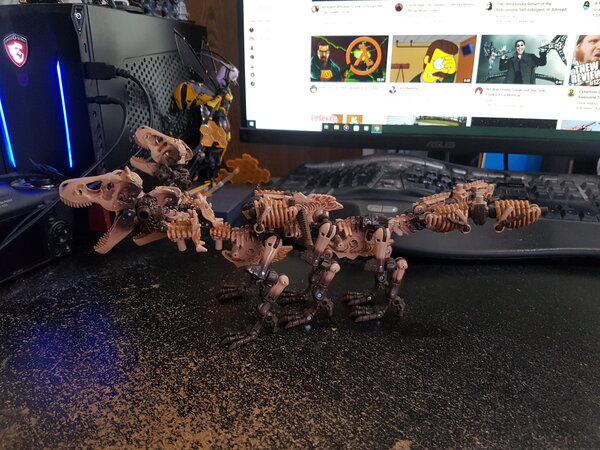 WFCK Paleotrex (7).jpg