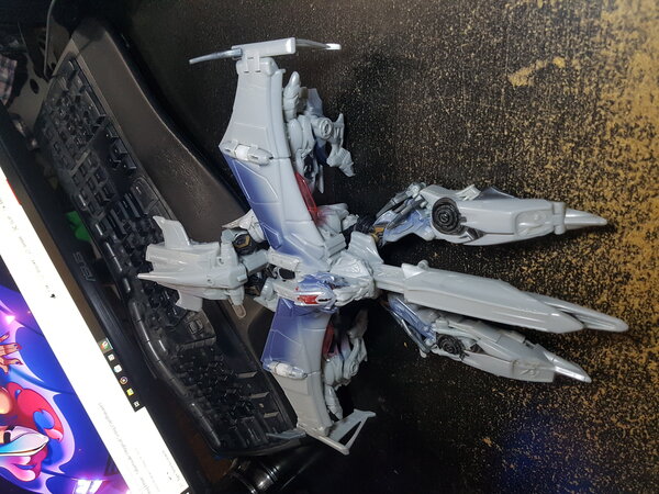 2007 Megatron (1).jpg