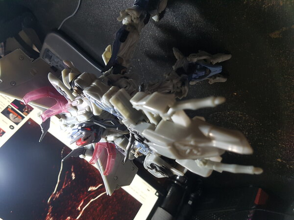 2007 Megatron (4).jpg