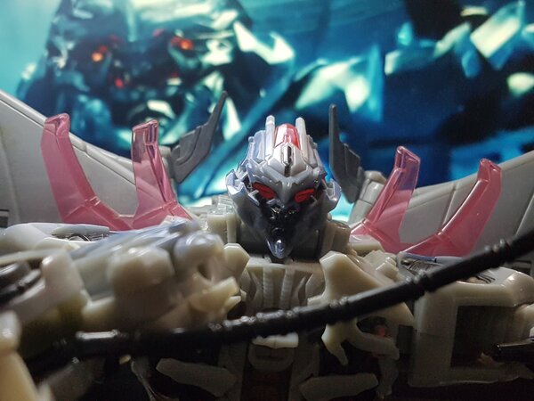 2007 Megatron (5).jpg