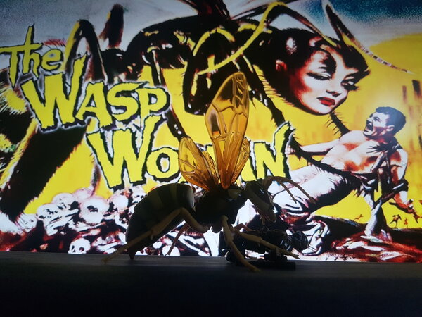 The Wasp Woman (1).jpg