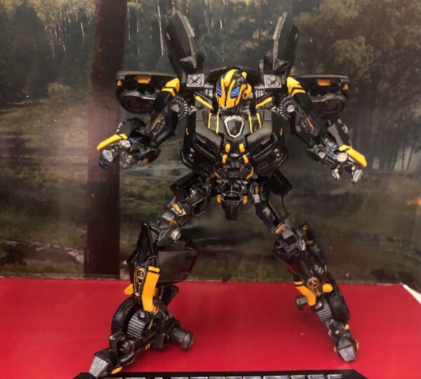Stealth Bee bot pose 2.jpg
