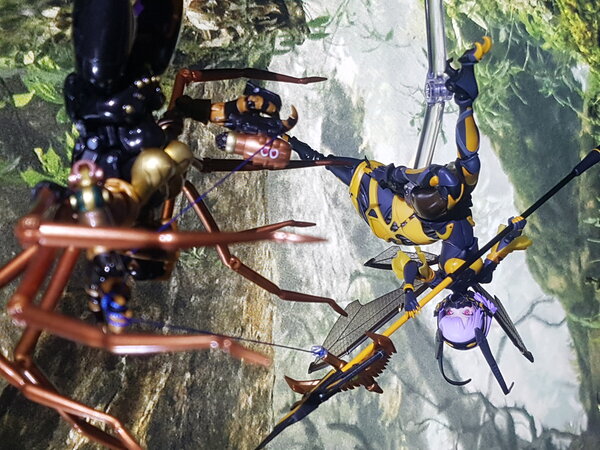 Wasp vs Spider (2).jpg