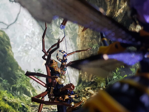 Wasp vs Spider (3).jpg