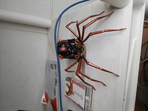 MP Blackarachnia Work (1).jpg
