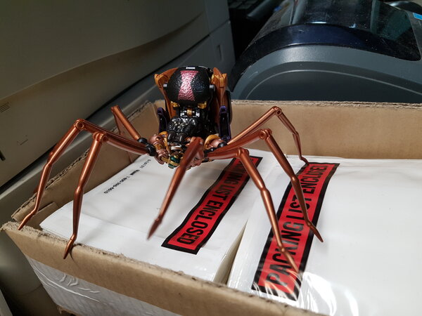 MP Blackarachnia Work (2).jpg