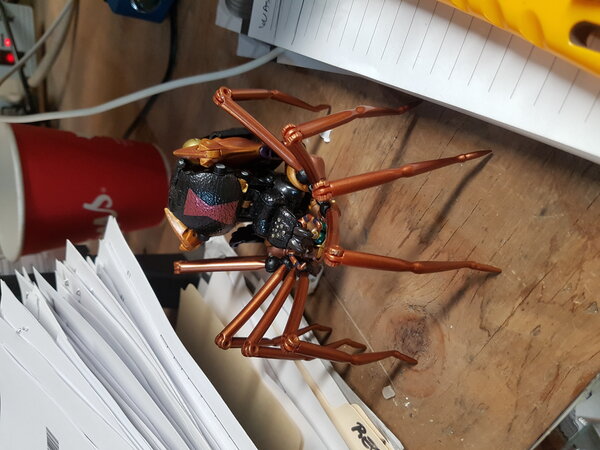 MP Blackarachnia Work (3).jpg