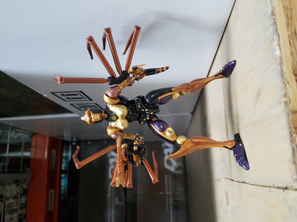 MP Blackarachnia Work (5).jpg