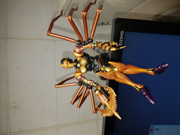 MP Blackarachnia Work (7).jpg