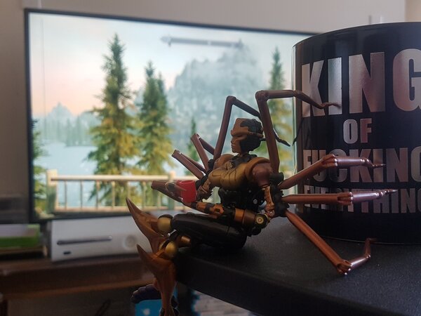 coffee skyrim spider.jpg