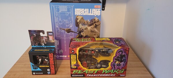 20220311_172655.jpg