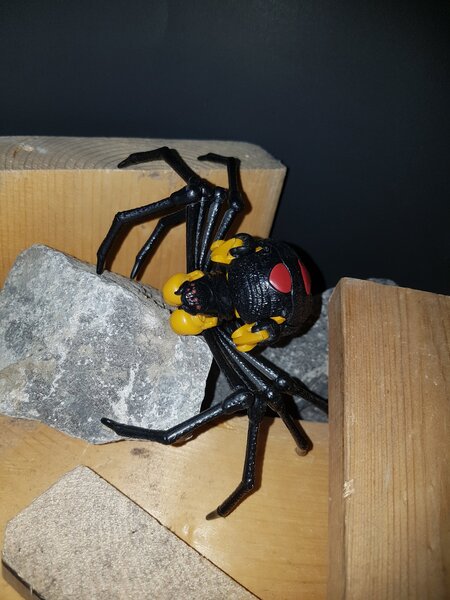 Blackarachnia shed (4).jpg