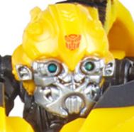 TLK Bee head.JPG