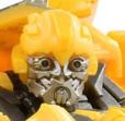 SS DOTM Bee head.JPG