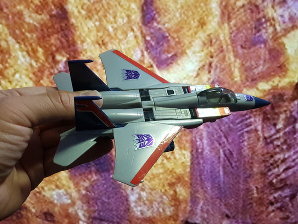 Starscreams (1).jpg