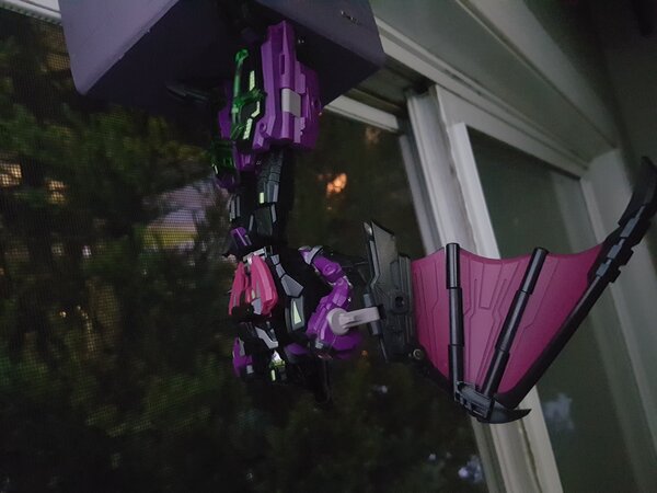 Function-X4 Sigma-L Mindwipe (2).jpg