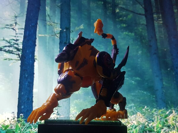 TM2 Cheetor (1).jpg