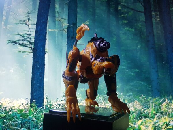 TM2 Cheetor (2).jpg