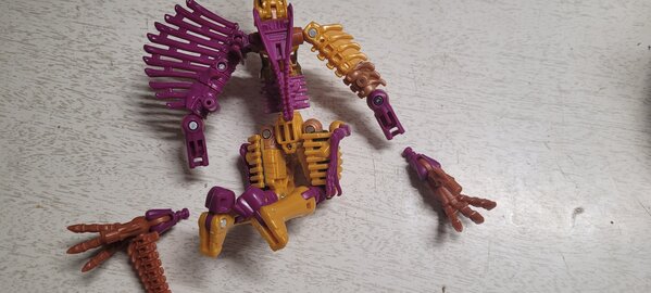 20220806_235132.jpg